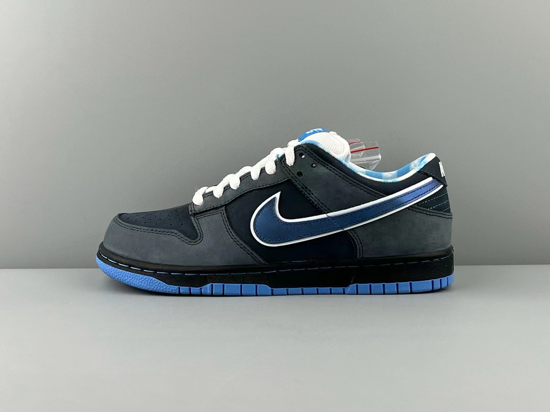 Concepts x NK SB Dunk Low