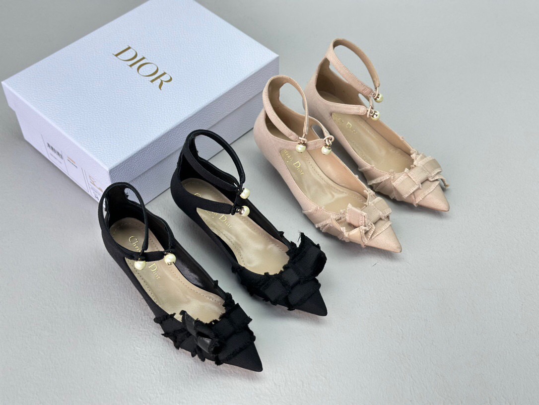 Dior Shoes