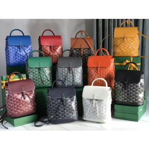 Goyard Aipin (18.5*21.5*8.5cm)